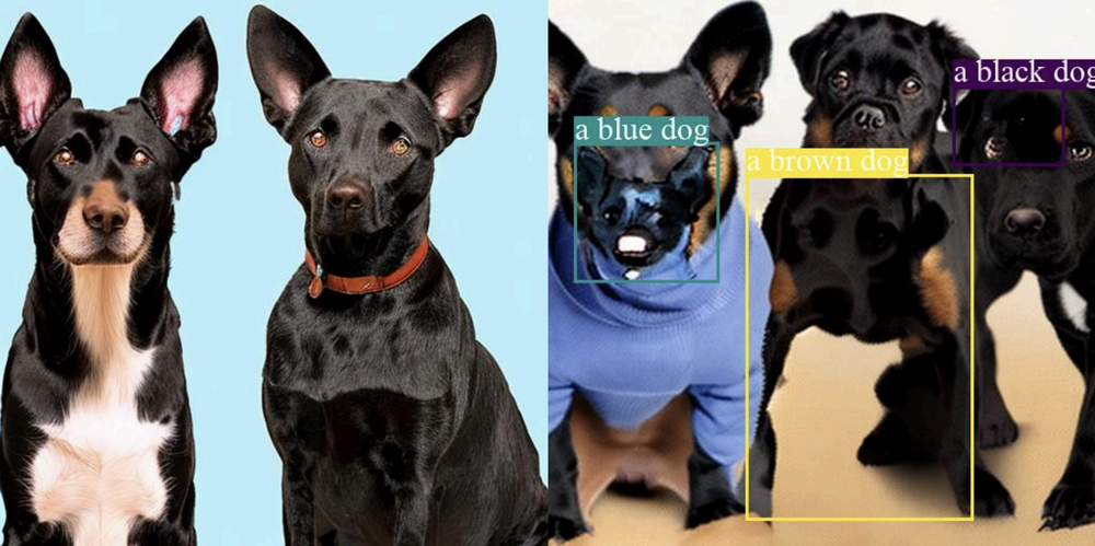 Black dog, blue dog, brown dog